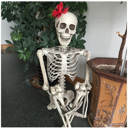 5ft halloween human - 1-5.5ft,
