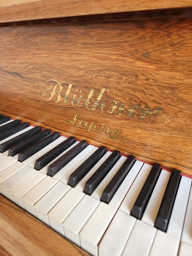 Bluthner baby grand piano - grand,