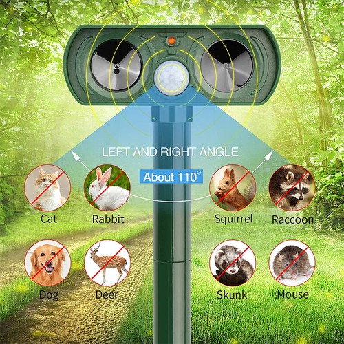 Ultrasonic cat dog - cat,