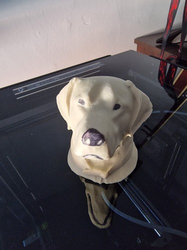 Tow ball cover labrador dog - tow,