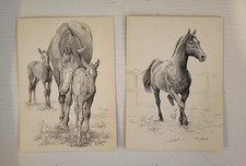 Lot of 2 Vintage Artist-Signed HORSE Portrait Postcards-Stig Blanck-1978 Sweden