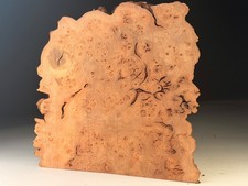 AMAZING Cap Burr Elm Live Edge