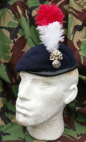 Royal regiment fusiliers - royal,
