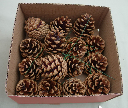 Pine fir cones 6cms - pine/fir, cones-6cms