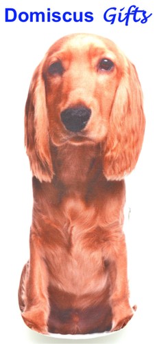 New dog puppy - dog,