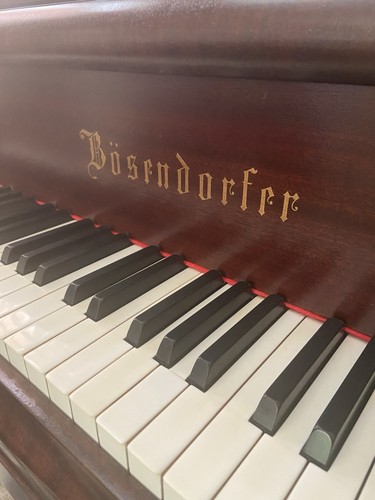 Bosendorfer 170 grand piano - grand,