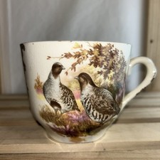 Palissy The Royal Worcester