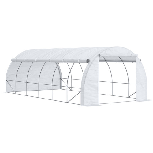 Polytunnel greenhouse walk - polytunnel,