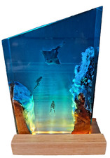  Ocean sea manta ray Night