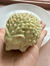 New Jade Crystal Hedgehog