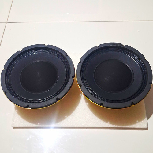 Electro voice pro woofer - 8",