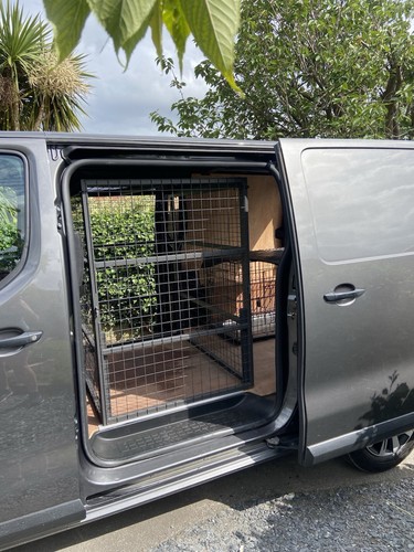 Heavy duty van - duty, dog