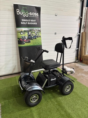 Demo golf buggy flexes to - ex,