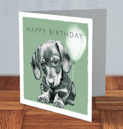 Dachshund sausage dog - , puppy