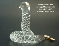 Glass SNAKE Glass REPTILE