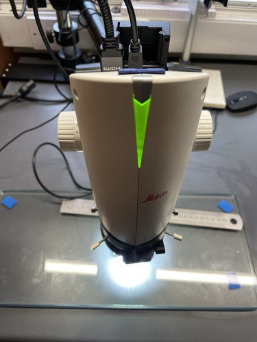 Leica digital microscope dms - microscope,