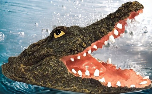 Floating crocodile head garden - crocodile,