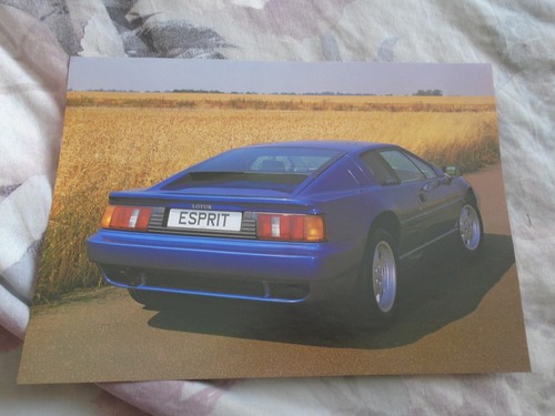 Lotus esprit brochure - lotus,