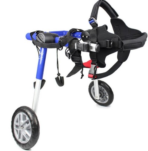 Dog wheelchair never - wheelchair.,