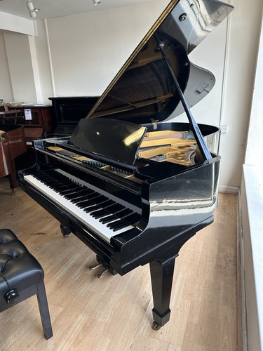 Yamaha grand hamamatsu - -,