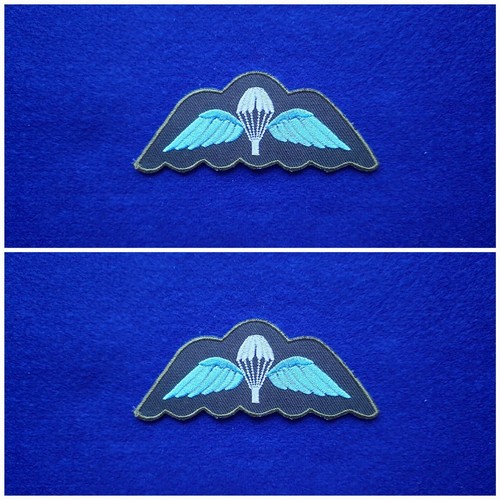 Pair military patches - military,