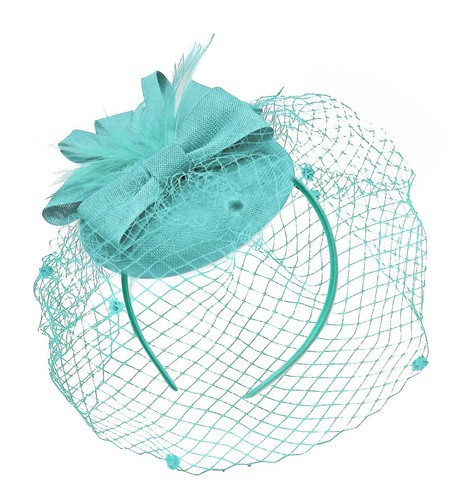 Round pillbox birdcage - birdcage, veil