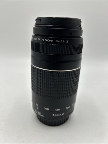 Canon 300mm 5 - 75-300mm, f/4.5-5.6