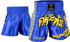 EVO Muay Thai Fight Shorts MMA Kick Boxing Grappling Martial Arts Gear Cage UFC 