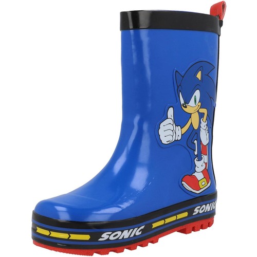 Sonic the hedgehog kids - hedgehog,