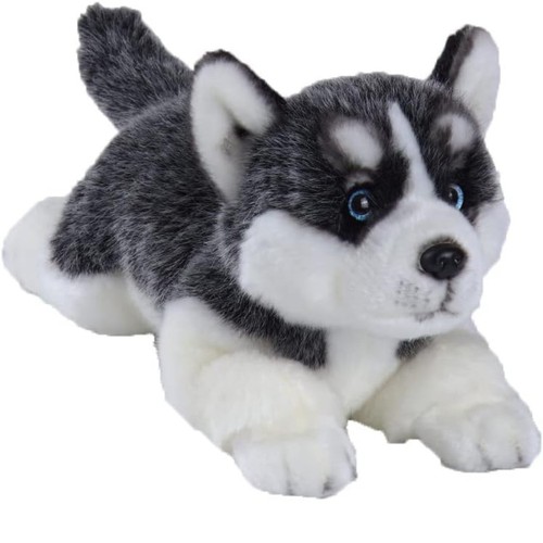 Siberian husky plush toy - husky,