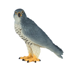 Peregrine Falcon Toy toy model