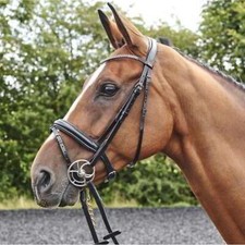 John Whitaker Barton Bling