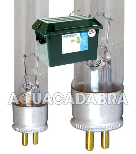 Green genie bulb - genie, uv