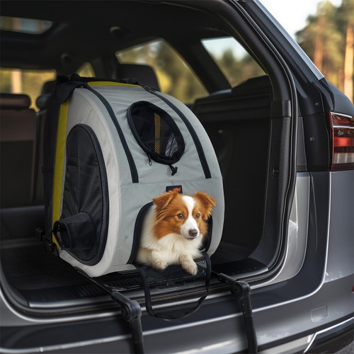 Dog stroller cat puppy - dog,