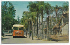 TOURING BUS, SAN DIEGO ZOO, BALBOA PARK CA VINTAGE POSTCARD 1H26
