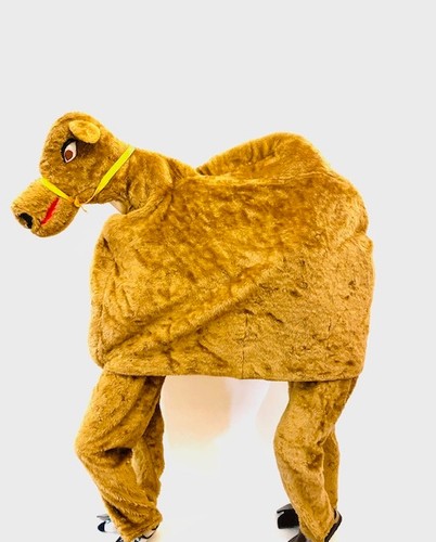 Camel mascot fancy dress - fancy,