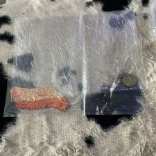 Banksy Dismaland ‘Fish