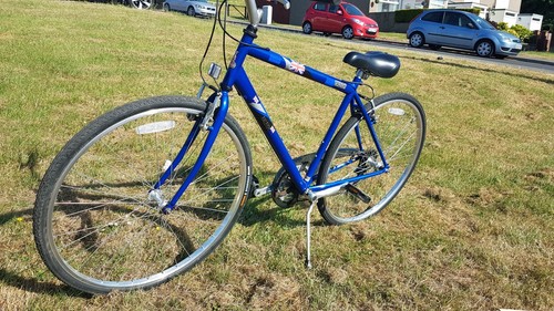 Bike raleigh pioneer 120 - raleigh,