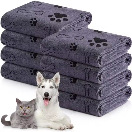 Large dog cat - dog, drying