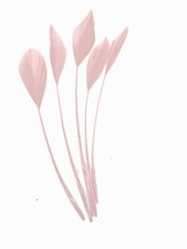 Long Fascinators Feathers