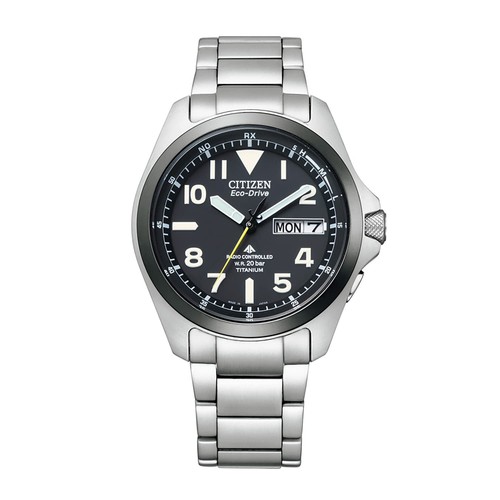 Citizen promaster land - promaster,