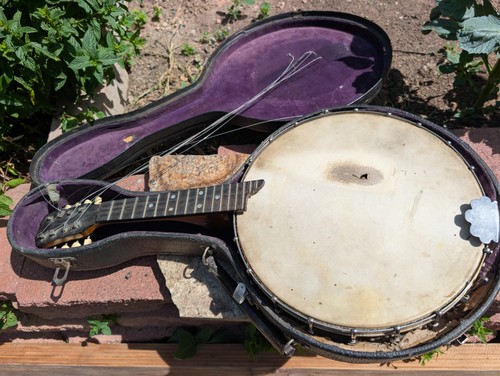 Artifacts 1920s concertone - 1920s,