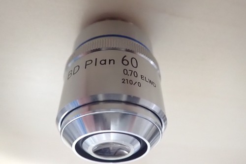 Nikon plan 60x 70 elwd - nikon,