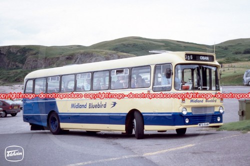 Bus photo midland bluebird - -,