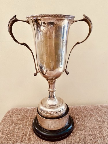 Big large silver - 🏆, trophy