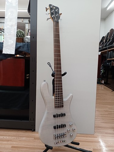 Warwick streamer string - warwick,
