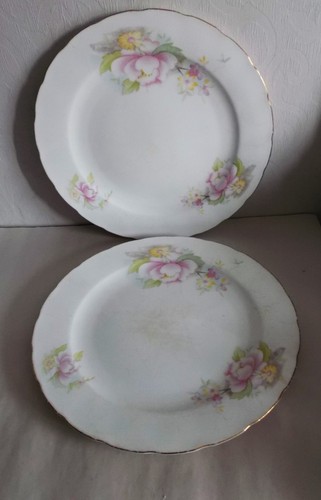 Royal wessex camellia - royal,