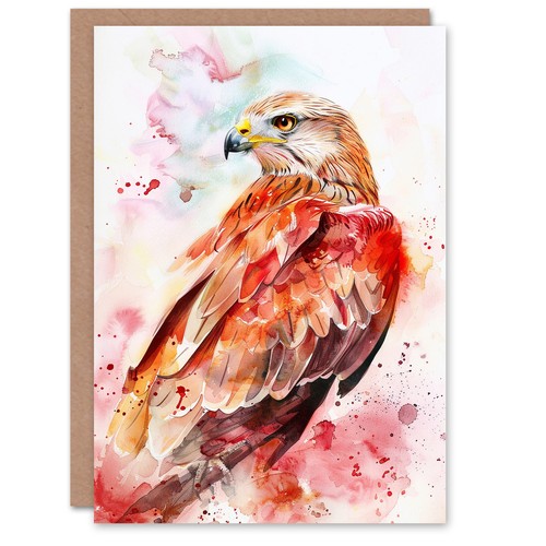 Red kite bird prey light - kite,