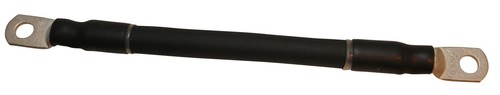 Gearbox earth strap beetle - earth,