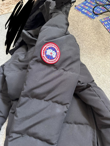 Canada goose chilliwack - chilliwack, bomber